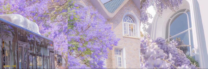 ᠃ ⚘᠂ ⚘ TRAITS ⚘ ᠂ ⚘ ᠃